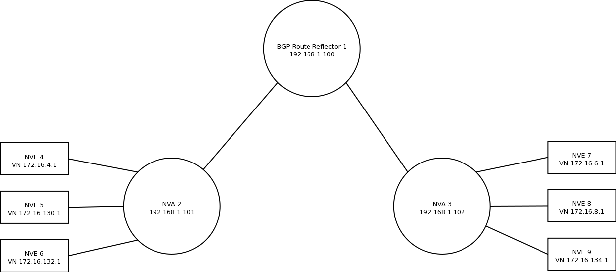 FRR Route Reflector